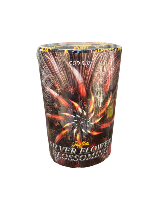 Fontana Silver flower blossoming